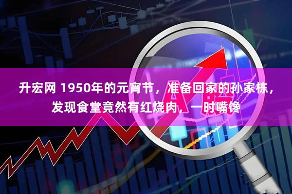 升宏网 1950年的元宵节，准备回家的孙家栋，发现食堂竟然有红烧肉，一时嘴馋