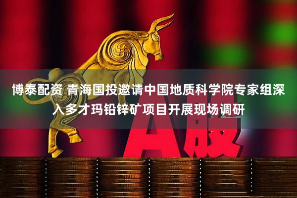 博泰配资 青海国投邀请中国地质科学院专家组深入多才玛铅锌矿项目开展现场调研