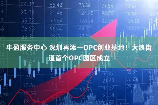 牛盈服务中心 深圳再添一OPC创业基地!大浪街道首个OPC园区成立
