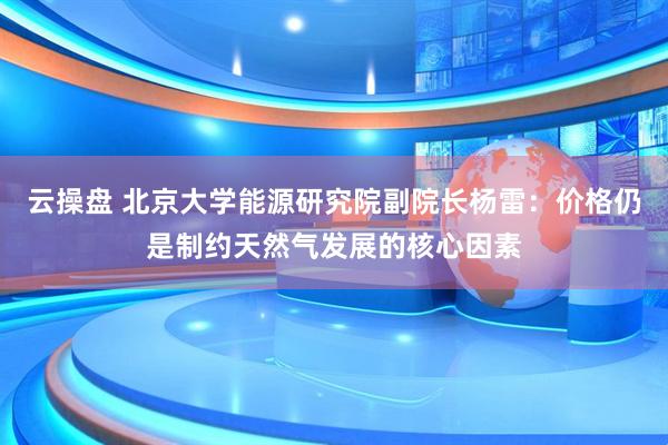云操盘 北京大学能源研究院副院长杨雷：价格仍是制约天然气发展的核心因素