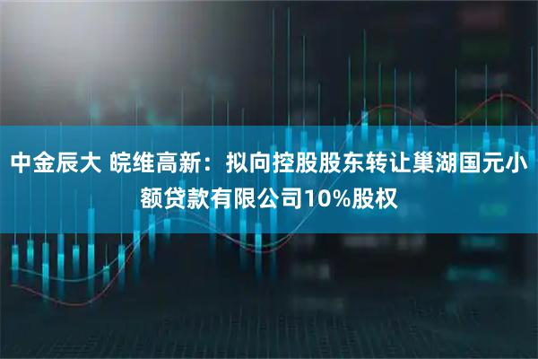 中金辰大 皖维高新:拟向控股股东转让巢湖国元小额贷款有限公司10%股权