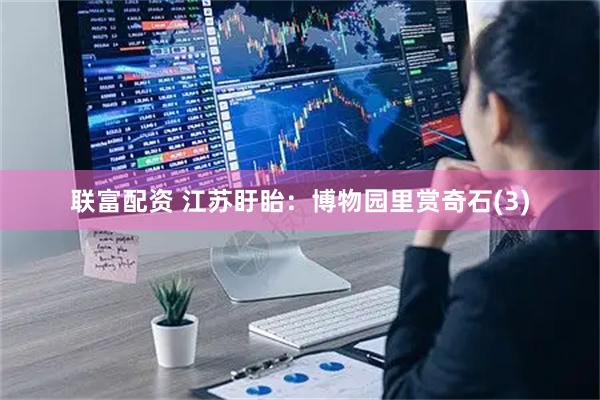 联富配资 江苏盱眙：博物园里赏奇石(3)