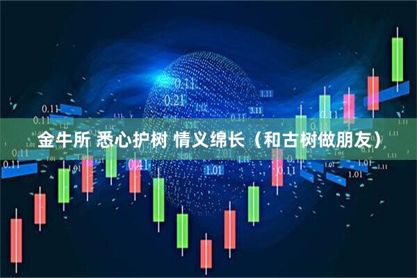 金牛所 悉心护树 情义绵长（和古树做朋友）