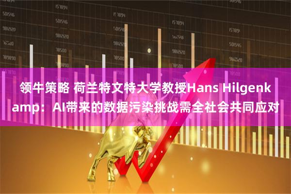 领牛策略 荷兰特文特大学教授Hans Hilgenkamp：AI带来的数据污染挑战需全社会共同应对