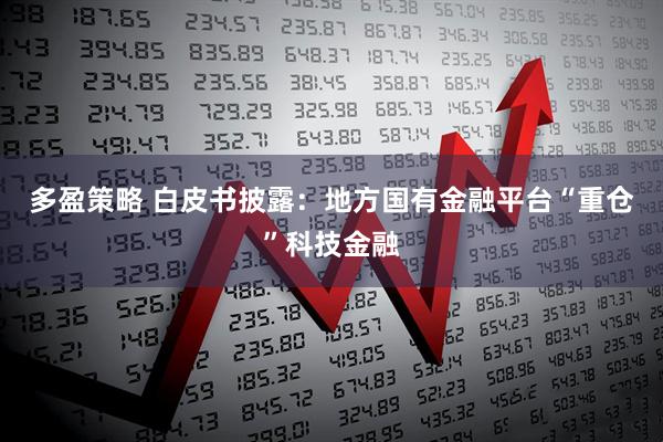 多盈策略 白皮书披露：地方国有金融平台“重仓”科技金融