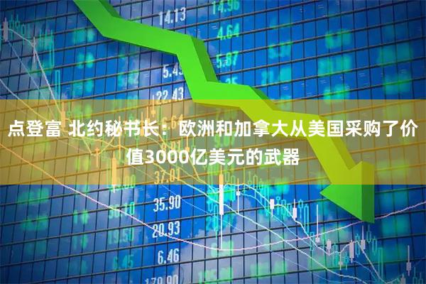 点登富 北约秘书长：欧洲和加拿大从美国采购了价值3000亿美元的武器