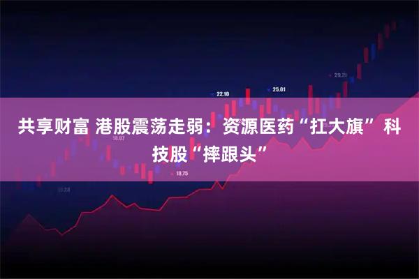 共享财富 港股震荡走弱：资源医药“扛大旗” 科技股“摔跟头”